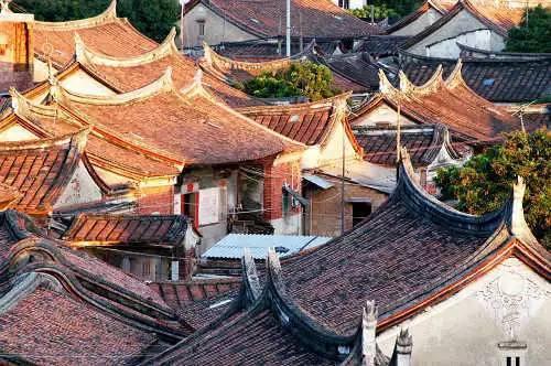 三发通报才解救,顾此失彼的“猴猫共处”不能再现